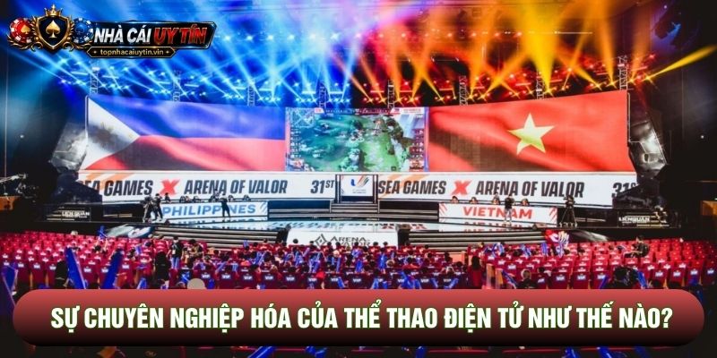 Sự chuyên nghiệp hóa của thể thao điện tử như thế nào? Sự chuyên nghiệp hóa của thể thao điện tử như thế nào?